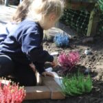 Screenshot_20251002_214830_Tapestry