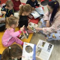 60227fb702be4d41a4271a91cb3ba69a